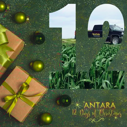 12 Days of Christmas with Antara Agronomy 