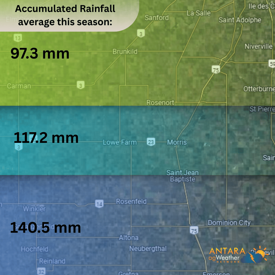 97.3 mm