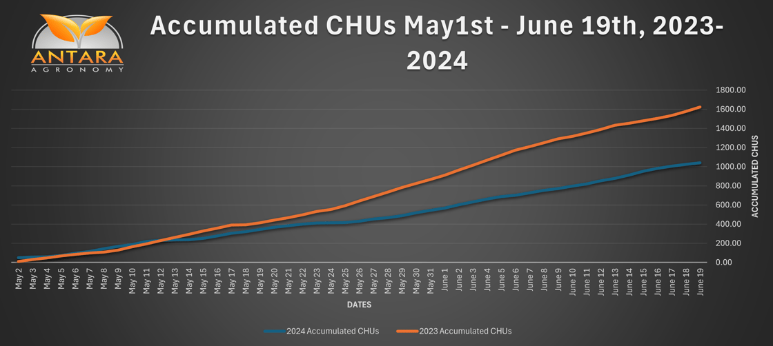 Accumulated CHUs