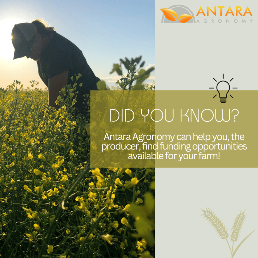 DID YOU KNOW