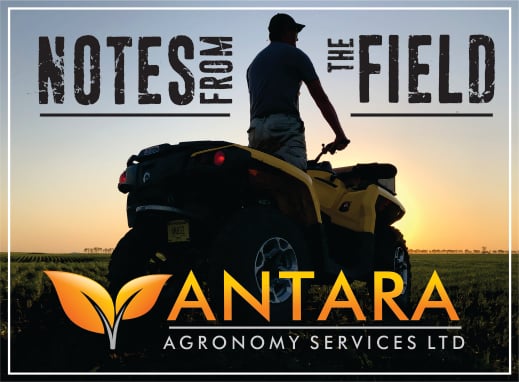 Notes from the field header 2, Antara Agronomy, Newsletter, Soil Sampling, On Field Research, Trials, Agronomy Services in Manitoba 