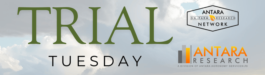 TUESDAY-1